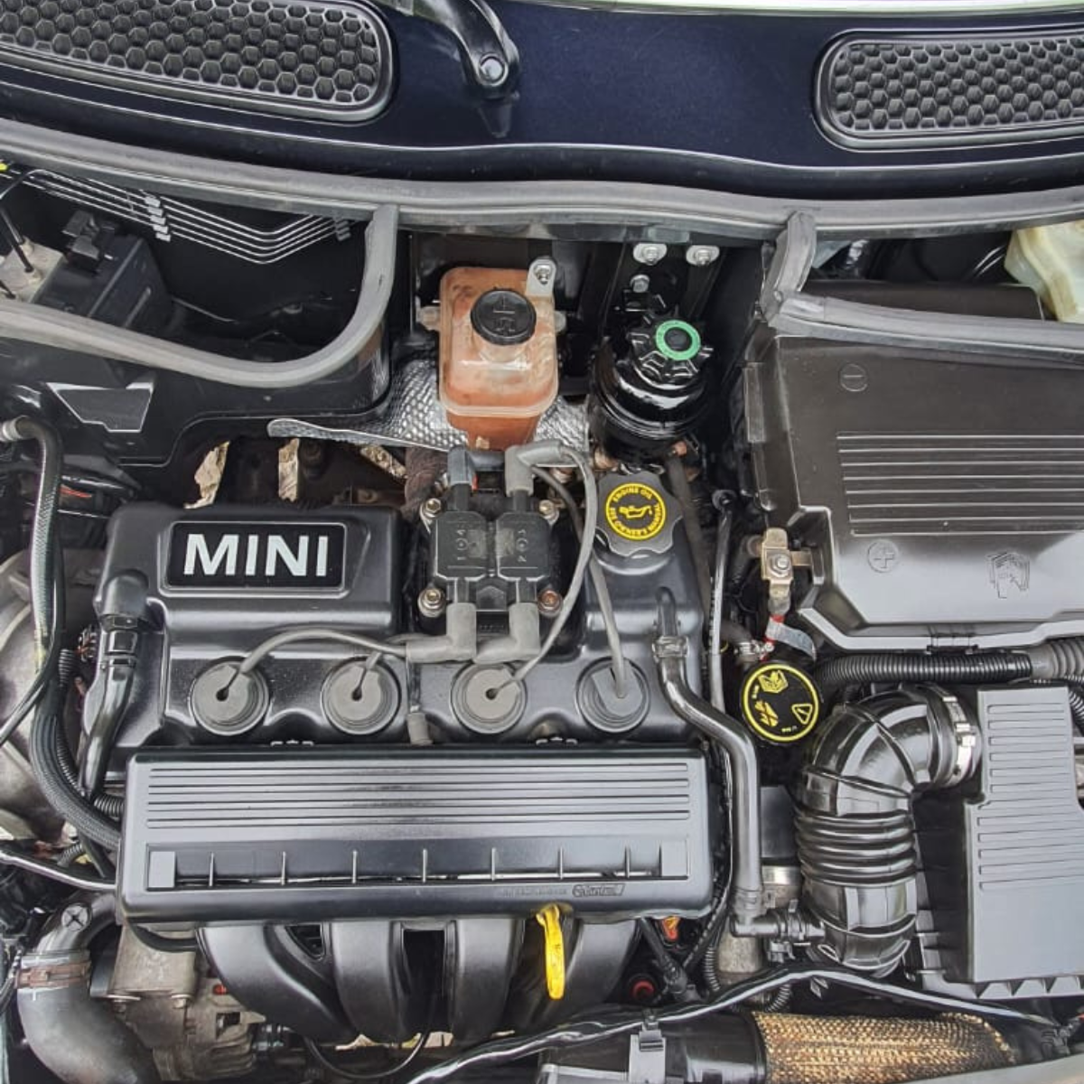 
								Mini Cabrio Cooper 115 completo									